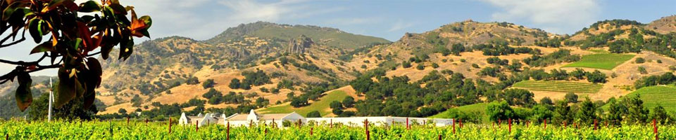 Richard Styner  100% commission california real estate